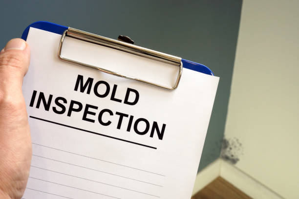 Best Forensic Mold Investigation  in Whittingham, NJ